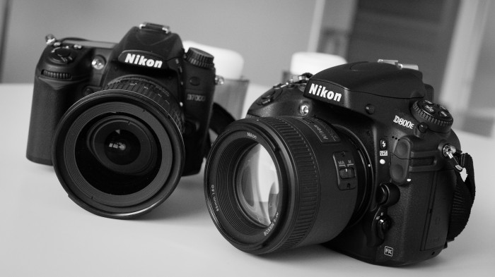 Nikon D800 vs D7000